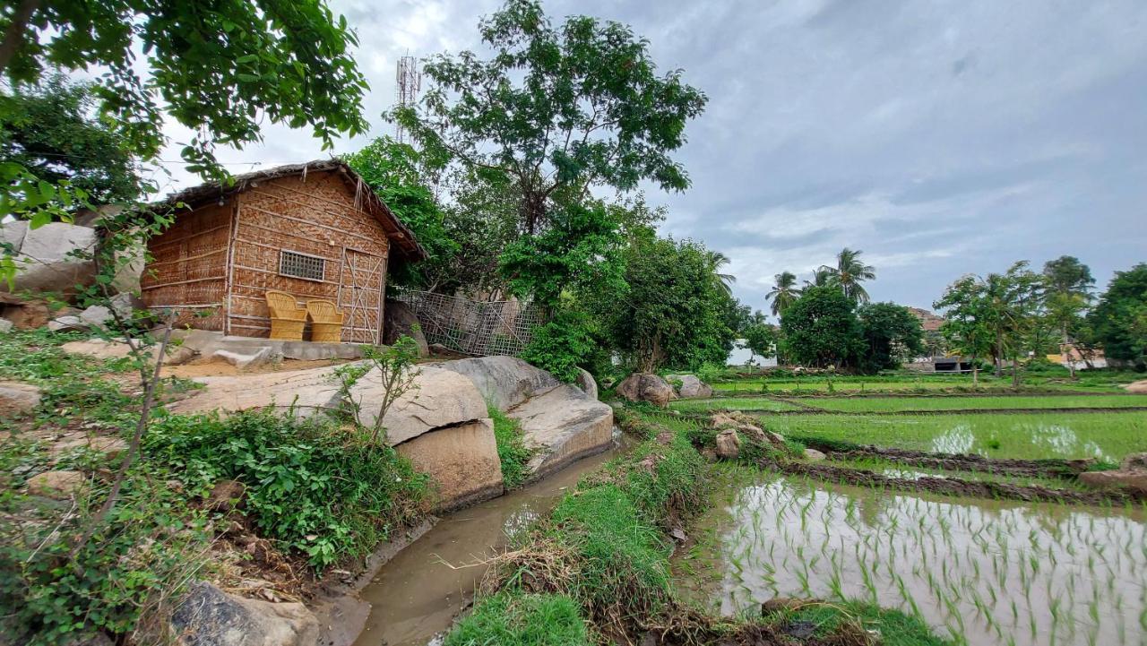 Sunrise Guest House & Restaurant ฮัมปี ภายนอก รูปภาพ